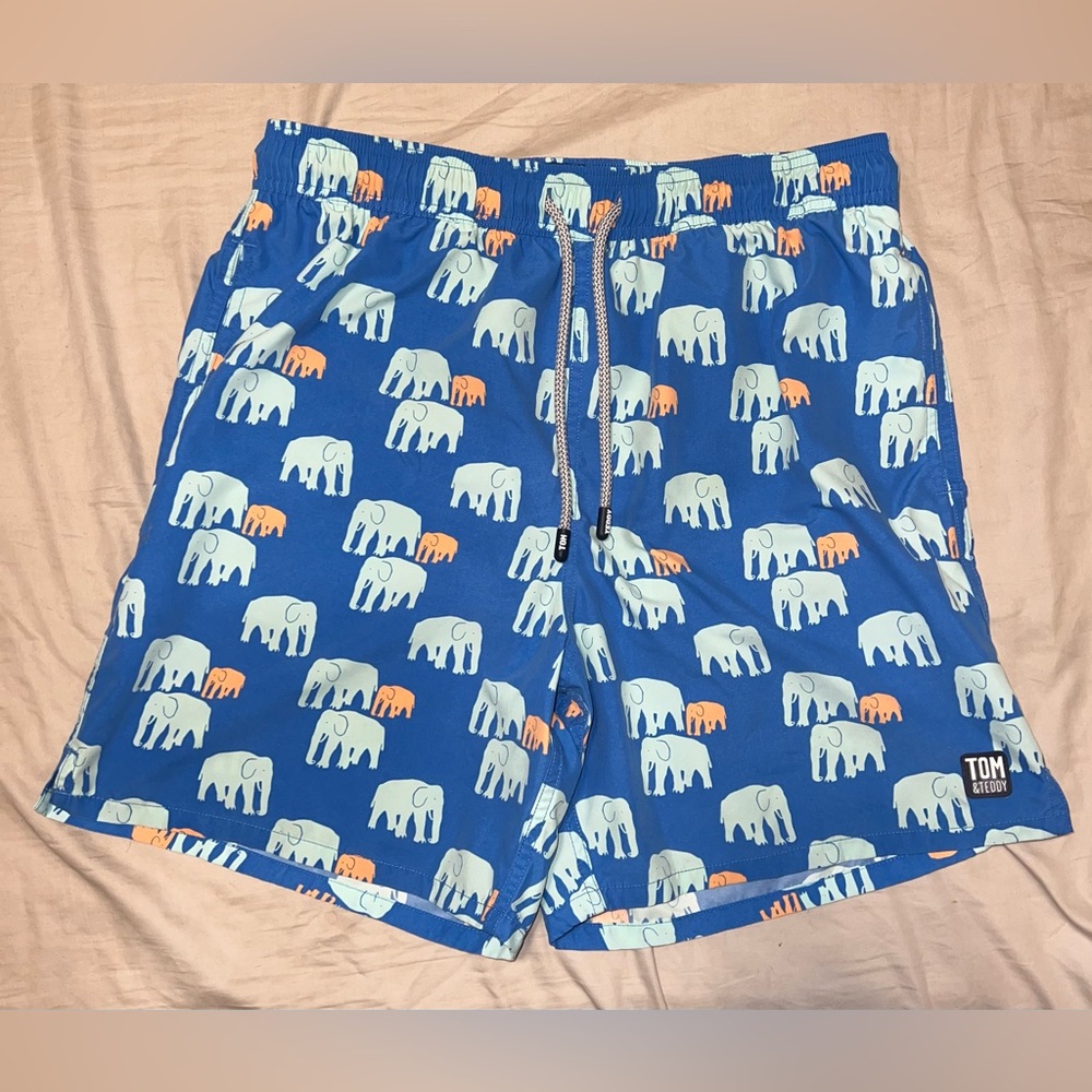 Tom & Teddy elephant swim bathing suit